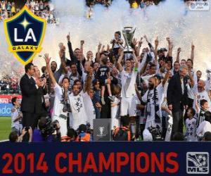 yapboz Los Angeles Galaxy, 2014 MLS şampiyonu